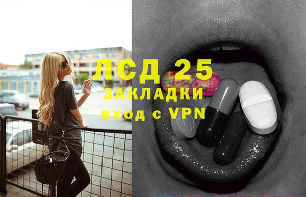 ГАЛЛЮЦИНОГЕННЫЕ ГРИБЫ Бугульма
