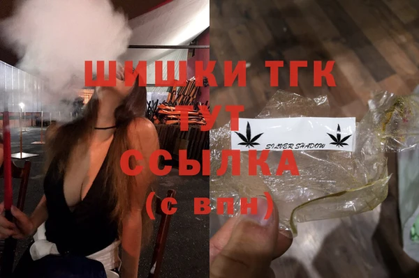 стафф Осинники