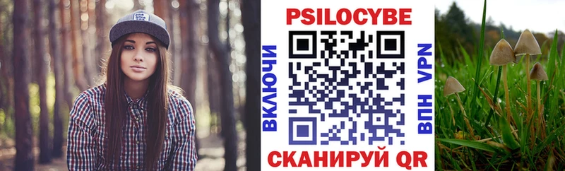 Псилоцибиновые грибы Psilocybe Кондопога