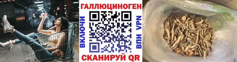 Псилоцибиновые грибы Psilocybine cubensis  Купить  Кондопога 